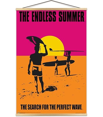 Amazon.com: Classic Endless Summer 36x24 Movie Art Print Poster