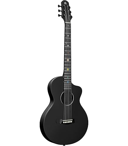 Amazon.com: Recording King RO-G6 Solid Top 000 Guitar : Musical