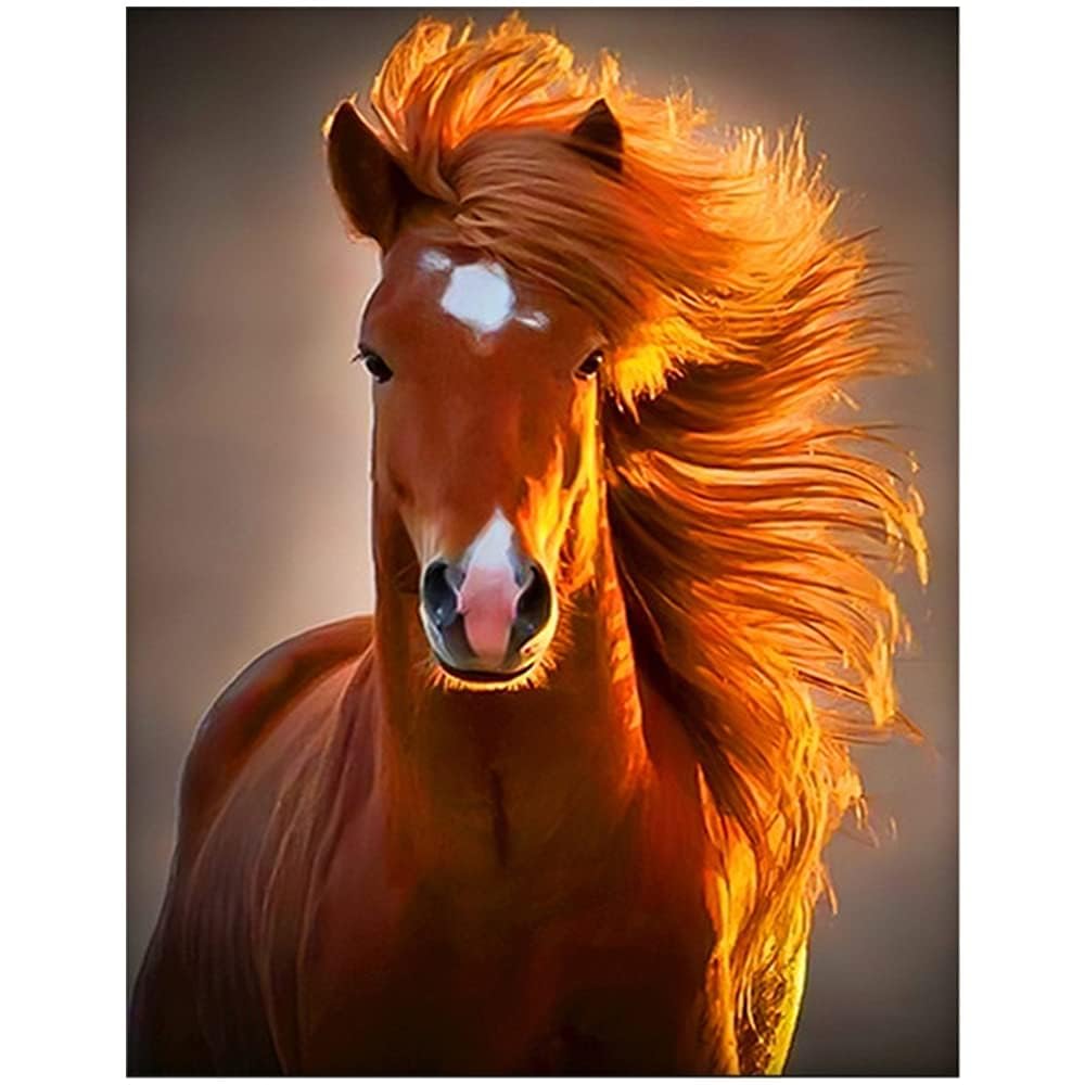 Square Diamond Painting by Numbers Horse 15x19 inches 5D Pictures Mosaic Large Anime Crafts Adults Hobby Kit Children Painting with Diamond Diamond Art Accessories Living Room Kitchen Decor 40x50cm