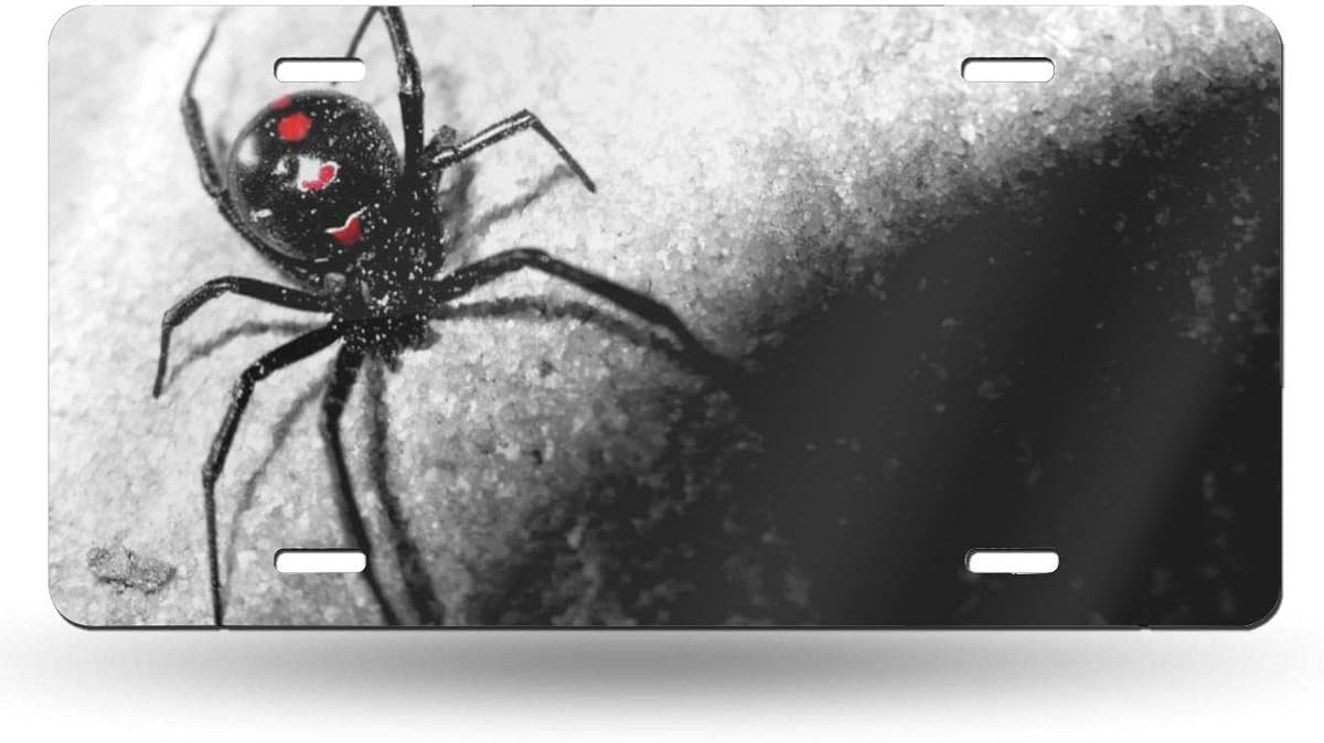 Spider License Plate Metal Aluminum Vanity Auto Car Tag for