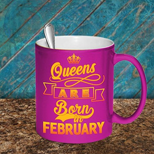 NetHomeMug โ queens are born in february gifts - February birthday gifts - 11oz Metallic Mug birthday gifts โ Funny February Birthday Gift โ Queens are born in february mug
