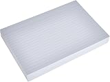 Exacompta Bristol Ruled Record Card A5 205gsm Pack 100 view 3