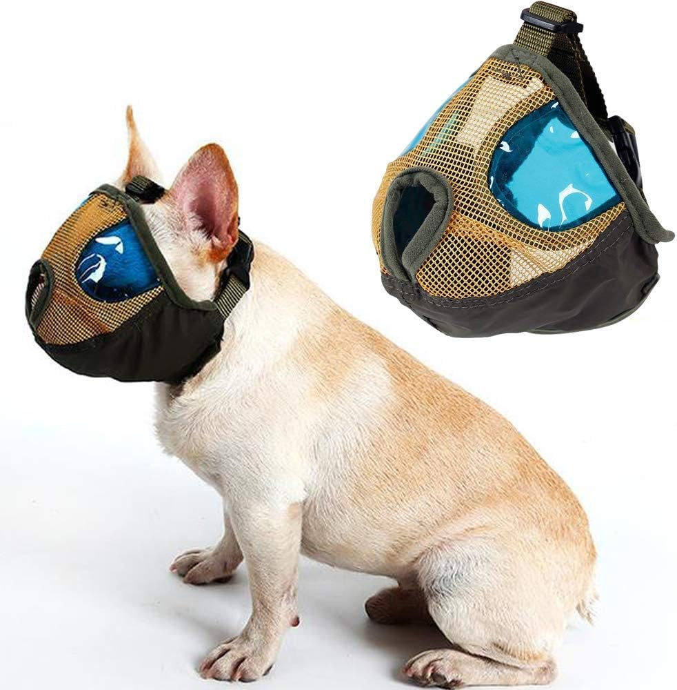 chihuahua muzzle amazon