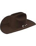 Resistol City Limits Felt 6X Cowboy Hat