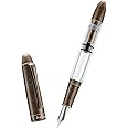 Asvine P30 Piston Fountain Pen Steel Fine Point, Retro Brass Style, Clear Demonstrator Acrylic Pen Large Ink Capacity Writing Gift Box
