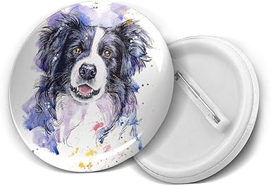 border collie accessories