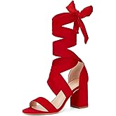 Elisabet Tang Women's Sandals Chunky Heels Lace Up Block Heels Open Toe Crisscross Strappy sandals Heel Sandals Fashsion Casual Prom Shoes For Women