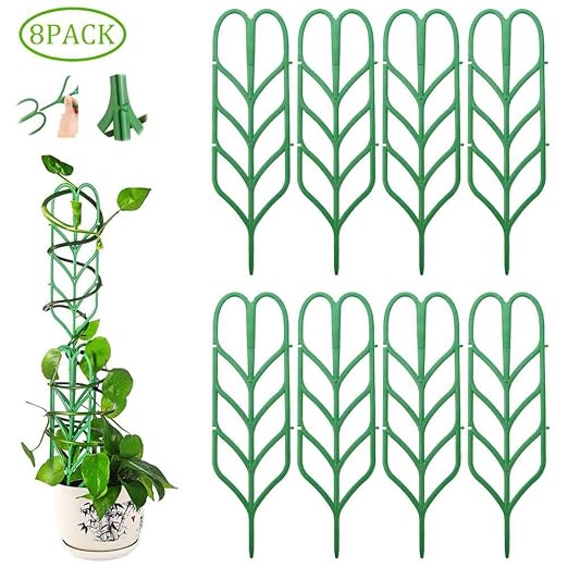 Roebii Ayuda de la Planta de jardín de DIY,Forma de Hoja de ...
