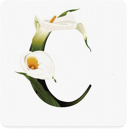 Letter C Square Coaster White Lily Flower Nature Inspirations Art Alphabet Letter C Abc Print For Home 3 5 L X 3 5 W Amazon Co Uk Kitchen Home