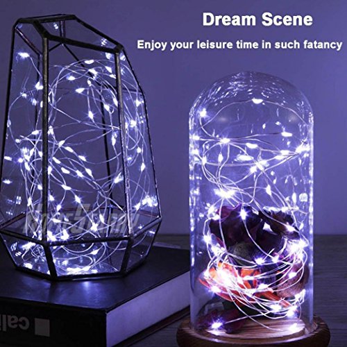 3 Hatop+Battery+Christmas+Halloween+Decorations