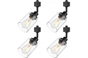 Wanluce 4 Pack H Track Lighting Heads Black Track Lighting Fixtures Ceiling with Clear Glass Shades, H Type Track Lighting Replacement Heads Indoor Spotlight for Accent Retail Kitchen Island Lighting