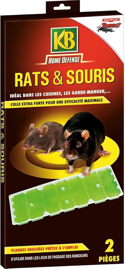 Kb Piege A Glue Pour Rats Et Souris X2 Amazon Fr Jardin