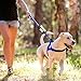 Pet Industries Dog Poop Bag Holder Dispenser, Heavy-Duty Waterproof Material, Reflective Strip, Zippered Pouch & Carabiner Clip for Easy Carry and Leash Attachment Strap (Electric Blue)