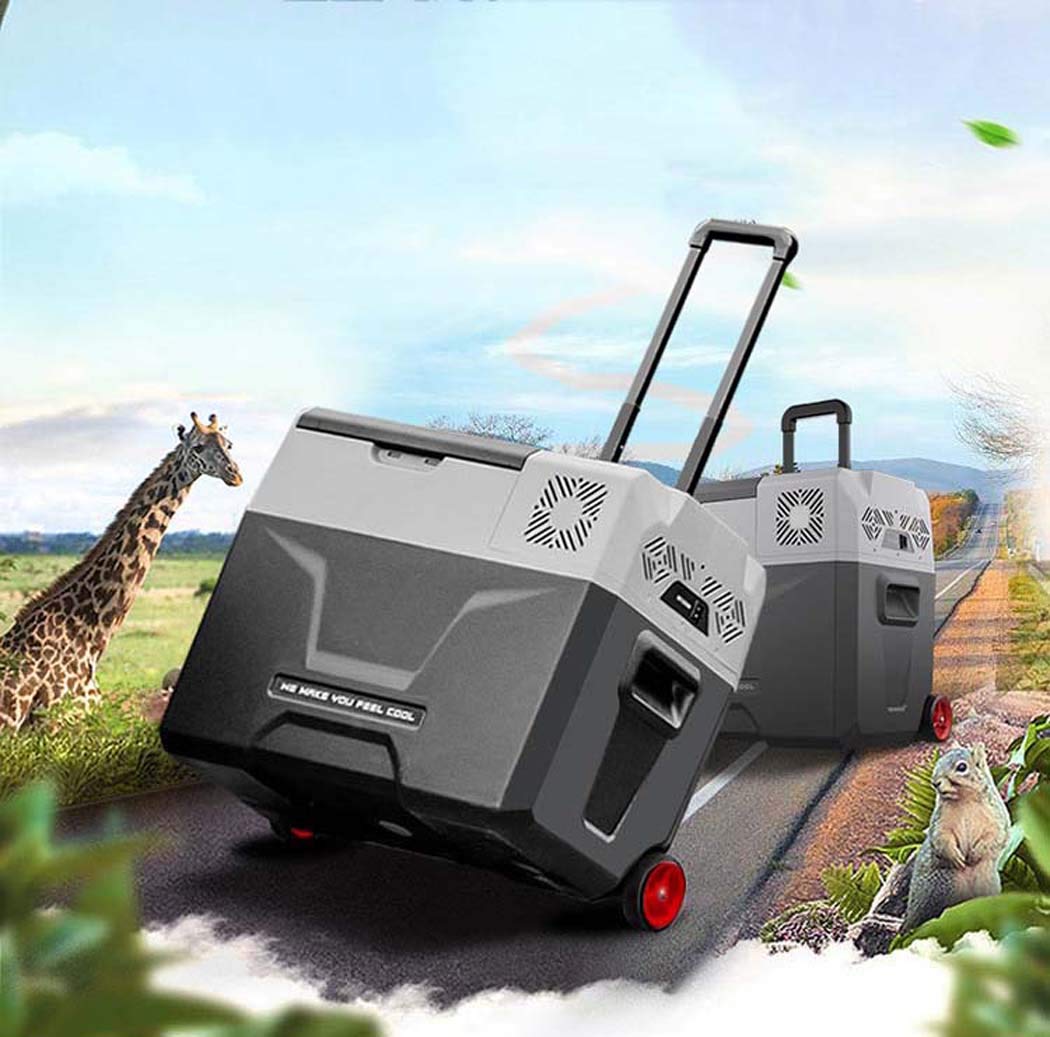 DSHBB Nevera de Coche Mini, Mini Nevera, Nevera de Coche Nevera de ...