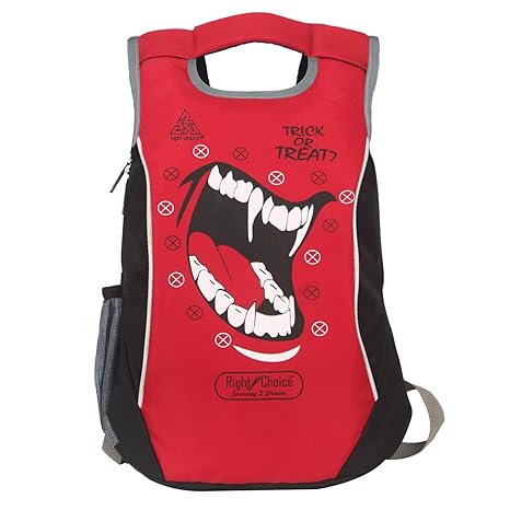 red nylon backpack