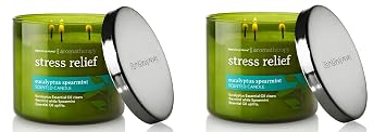 Bath&Body Works Strees Relief 蜡烛开箱与使用