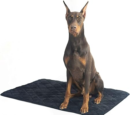 black dog mat