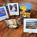 Rustic Wood Table Numbers Holder Stump Memo Clip Holder Picture Memo Note Photo Clip Holder Party Decorations Wedding Table Name Card Holder Message Clip (20PCS)