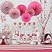 Party Hanging Paper Fans Set, Hot Pink Round Pattern Paper Garlands Decoration for Birthday Wedding Graduation Events Accessories, Set of 6