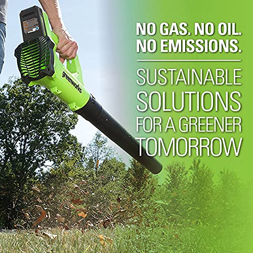 Greenworks 24V Cordless String Trimmer And Blower Combo Pack, 2Ah