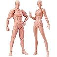 Artists Manikin Blockhead Jointed Mannequin Drawing Figures,Figure Model for Sketching, Painting, Drawing, Artist Male+Female Set (Flesh)