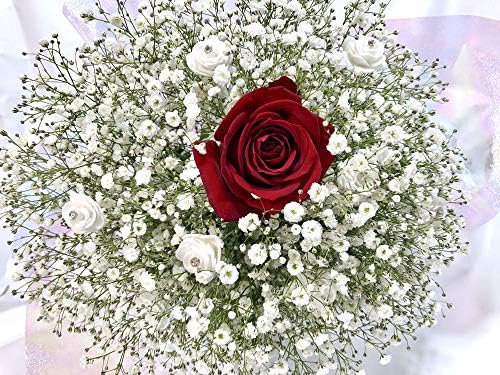 Amazon かすみ草の花束babybreath 花束 オンライン通販