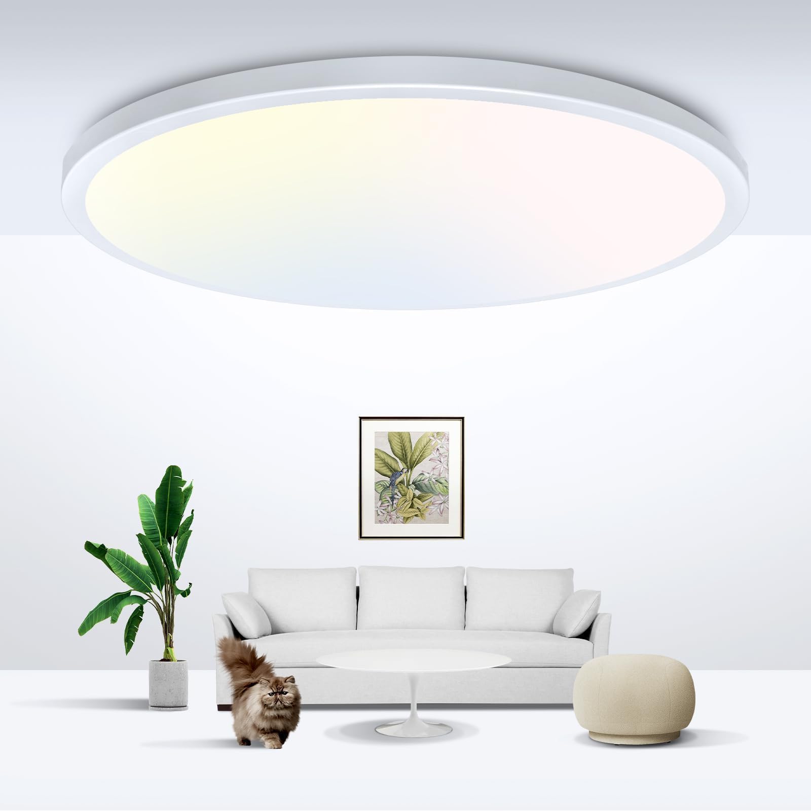 zemty LED Ceiling Light Flush Mount Super Slim 9