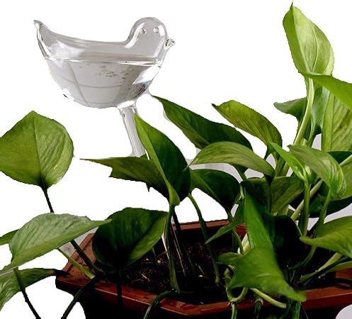 Amazon Com Yaku Automatic Potted Waterer Self Plant Watering Bird