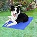 WINSEE Pet Cooling Gel Pad, Self Cooling Mat Comfort Non-Toxic Cold Mat for Dogs Cats 35.4 x 19.7 inch Large (Blue)