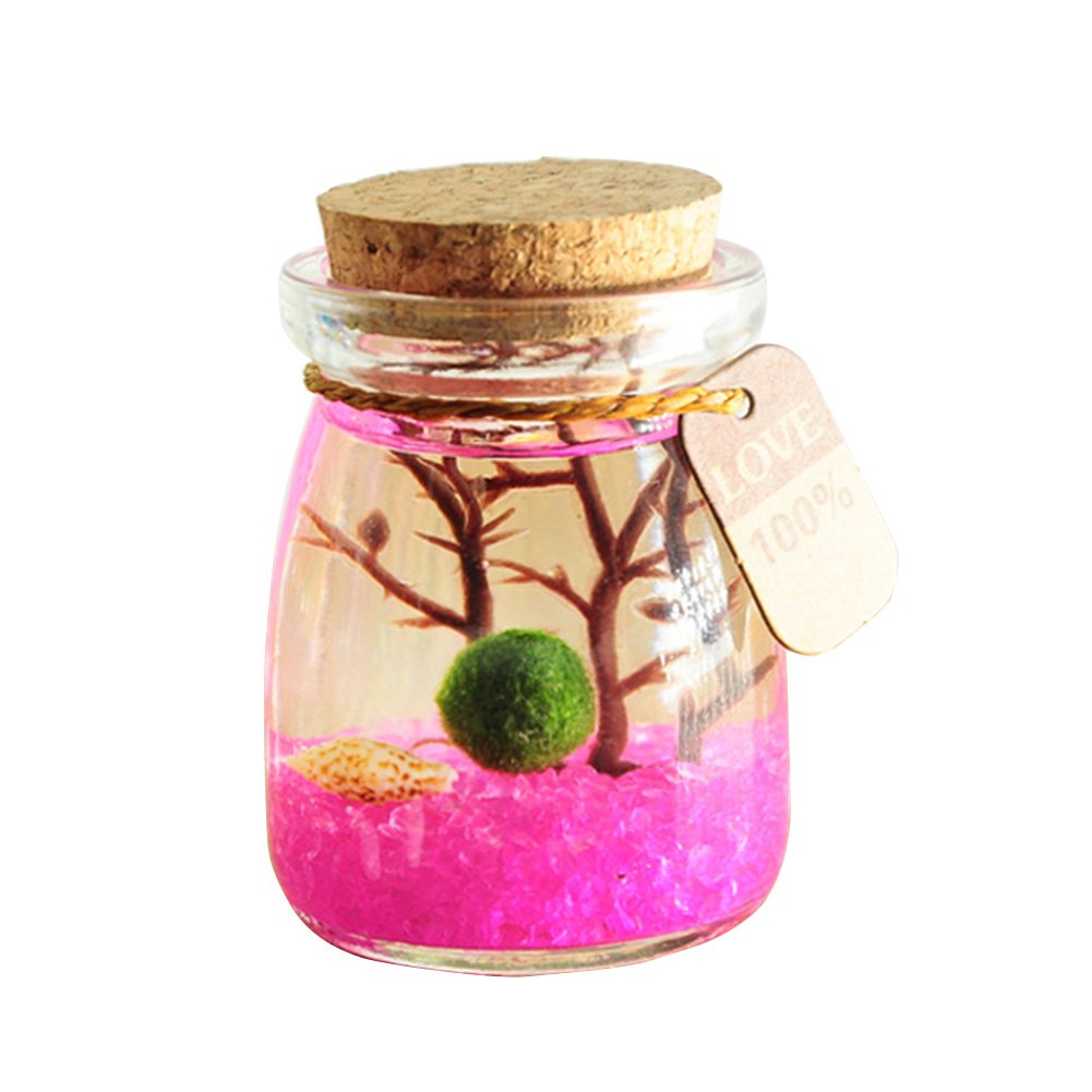 OMEM Marimo Ball Glass Aquarium Kit for Desktop Decoration Home Holiday Party Presents (Pink)