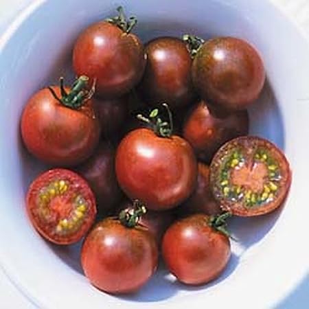 Amazon Com Brown Berry Tomato Seeds Garden Outdoor