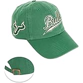 Desert Cactus University of South Florida Baseball Hat USF Bulls Brimmed Embroidered Hats Cap Adjustable Cloth Strap Adult (Style G) Green