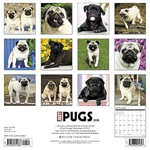 Just Pugs 2018 Calendar
