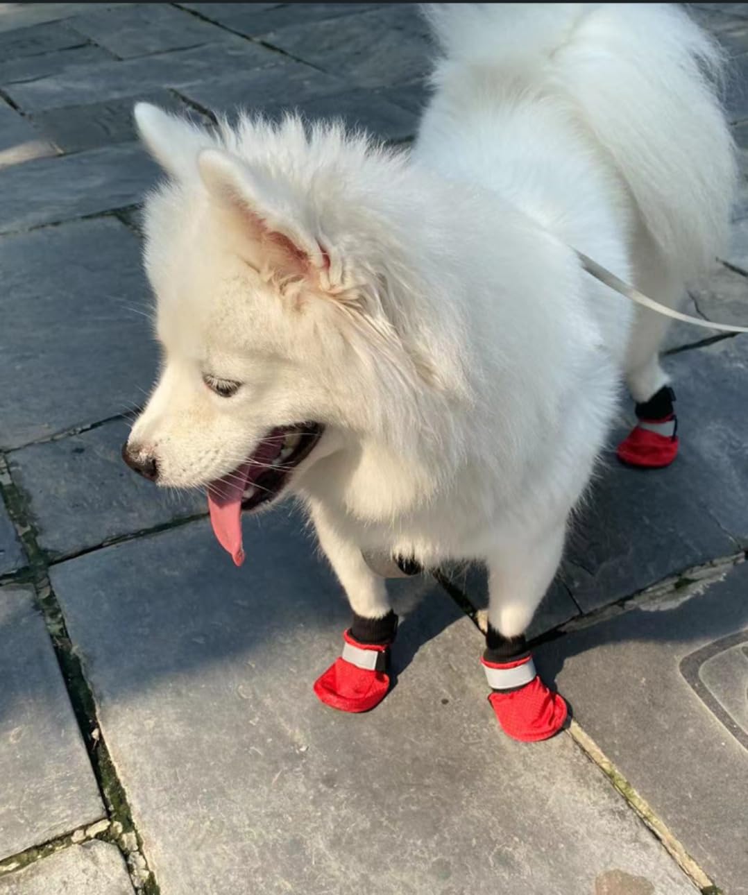 Vibrant Fellow Dog Shoes Warm for Winter Walking, Paw Protector Dog Boots Soft Protective, Dog Booties Skid-proof, Set of 4, Size XS Colour Red