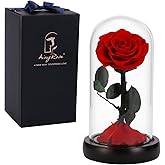 SW Forever Preserved Rose Mother Day Mom Gifts from Daughter Son,Birthday Gift for Women,Women Gift Red Rose Flower in Glass Gifts for Valentines Day Mothers Day Christmas Anniversary Birthday (red)