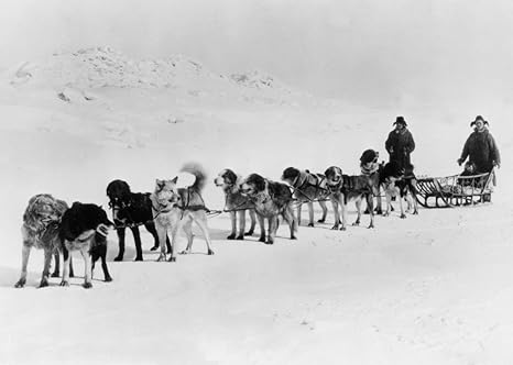 Amazon アラスカのビューアメリカ郵便サービス犬ぞり写真 9 X 12 Collectibleアート印刷 壁装飾トラベルポスター アートフレーム ポスター オンライン通販