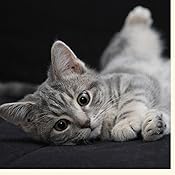 カスタマー画像