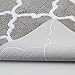 Fashion Dream Long Bathroom Rugs - Non-Sliding Fluffy Bath Blanket Quickly Absorbs Moisture Carpet Pad (17 Inches x 47 Inches , Grey)