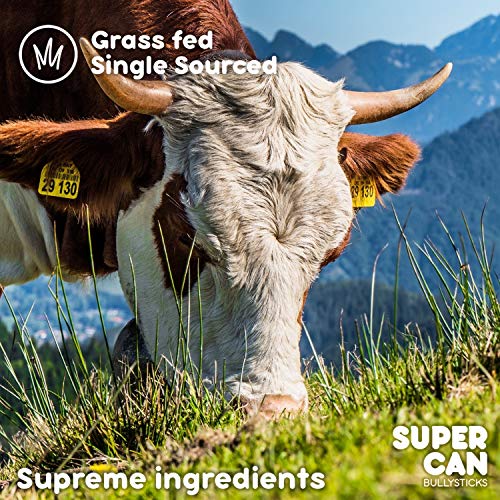 SUPERCAN Bully Sticks Beef Trachea Dog Chews 6inch [10Count] 100