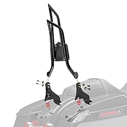 Mofun 28" Height Detachable Sissy Bar Passenger
