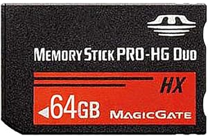 LICHIFIT 64GB Memory Stick MS Pro Duo Memory Card for Sony PSP High-Speed High Capacity