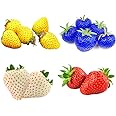 Mix Strawberry Seeds for Planting Climbing Strawberry Heirloom Non-GMO Everbearing Fruit Sweet and Delicious 100+ Red 100+ Yellow 100+ Blue 100+ White Fragaria × ananassa