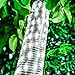 Oak Leaf Outdoor Solar String Lights, 41 Feet Solar Rope Lights 100LED Outdoor Lighting Rope, Waterproof Copper Wire Tube Lights with Solar Panel for Outdoor Indoor Home Garden Patio Parties