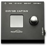 PAINTAUDIO EXP/SW CAPTAIN Multi-Function Expression Pedal &amp; Footswitch to MIDI Controller Box