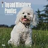 2017 Monthly Wall Calendar - Toy and Miniature Poodles