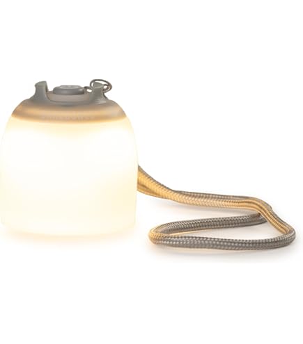 Amazon.com: Barebones Edison Light Stick – Tumbled Steel