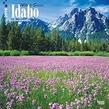 Idaho, Wild & Scenic 2016 Square 12x12 by Browntrout Publishers (2015-07-15) by 