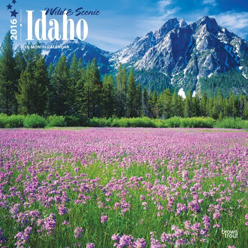 Idaho, Wild & Scenic 2016 Square 12x12 by Browntrout Publishers (2015-07-15) by (Calendar)