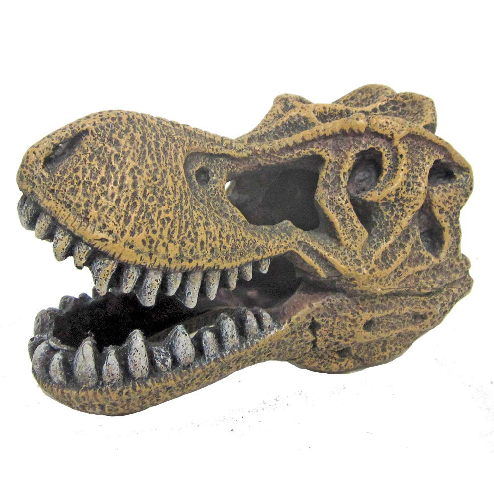 wave Tyrannosaurus Skull E