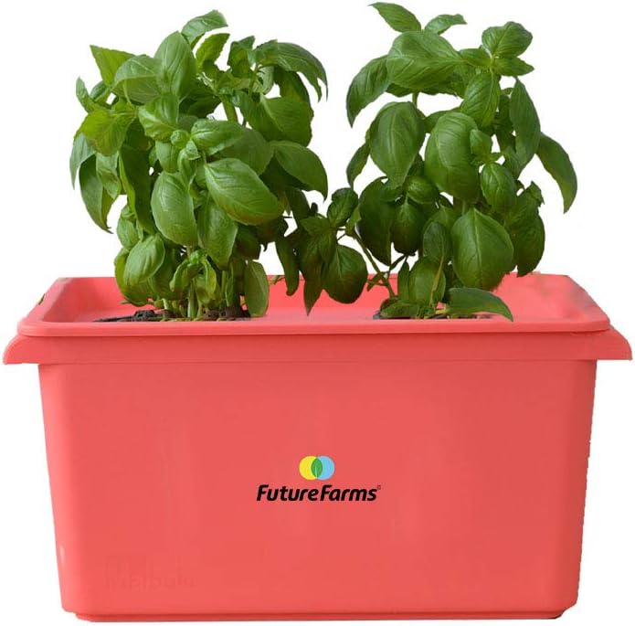 Future Farms Darwin Junior Hydroponic Starter Kit (Pink)